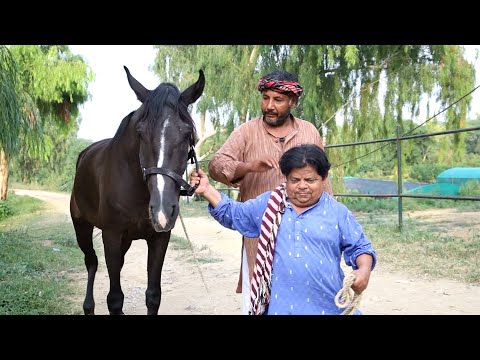 Mithu K Ghar Pe Qabza ho gaya - Shahzada Ghaffar - Pothwari drama 2022