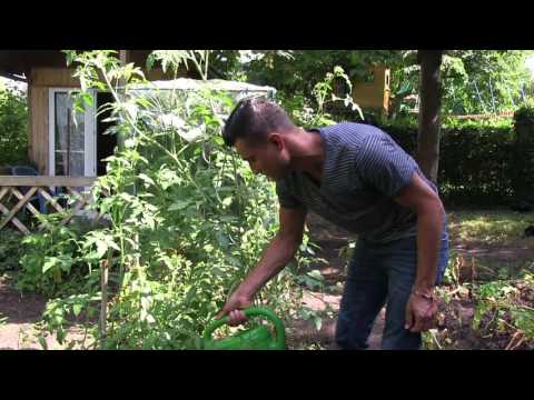 Geflüchtete zeigen den Garten in Glaubitz