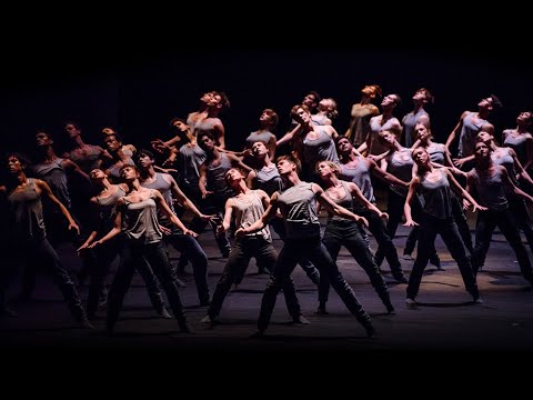 Within the Golden Hour / Medusa / Flight Pattern (The Royal Ballet) – trailer