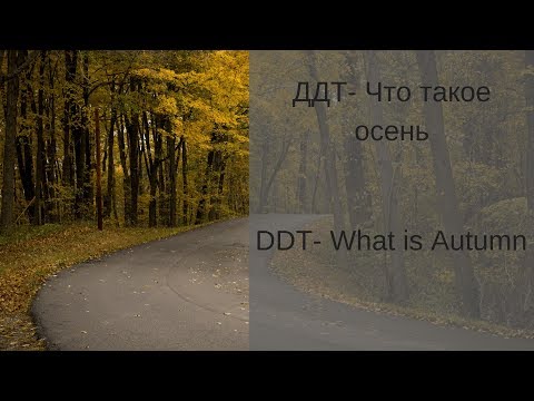 What is autumn video