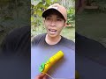 Give A Like To This Animal Video Shorts