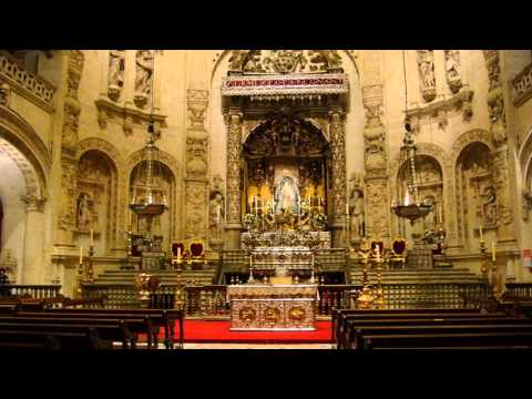 Evangelio  del  dia  8  de  Junio  de  2013