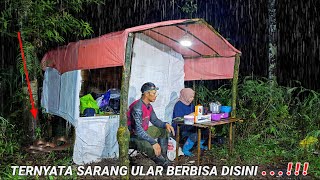 Download lagu CAMPING DURING HEAVY RAIN, RENOVATING AN OLD SHELTER, TURNS OUT IT'S A VENOM SNAKE NEST!!! mp3