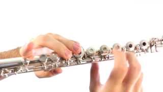 Flute Lesson 4: Holding the Flute