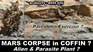 MARS CORPSE in COFFIN ? Alien Robot & Parasite Plant ? Pareidolia Exercise ? ArtAlienTV - 1080p60