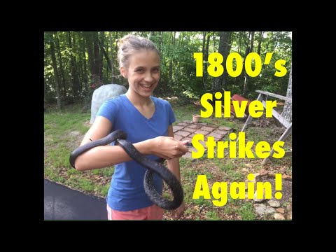 1800’s Silver Strikes Again!