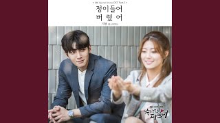 정이 들어버렸어