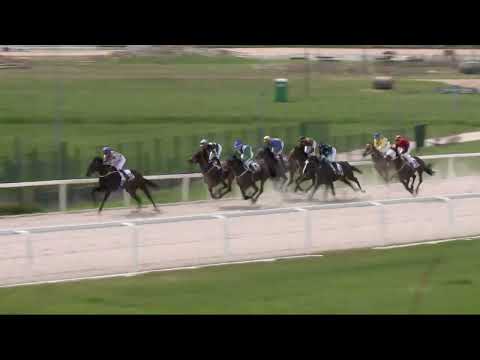 2022.04.24. 02. futam - PORVAI HENDIKEP (V/b.) (szintetikus pálya)