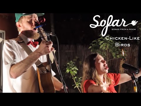 Chicken-Like Birds - As Long As I Don't Get Pregnant | Sofar Vancouver