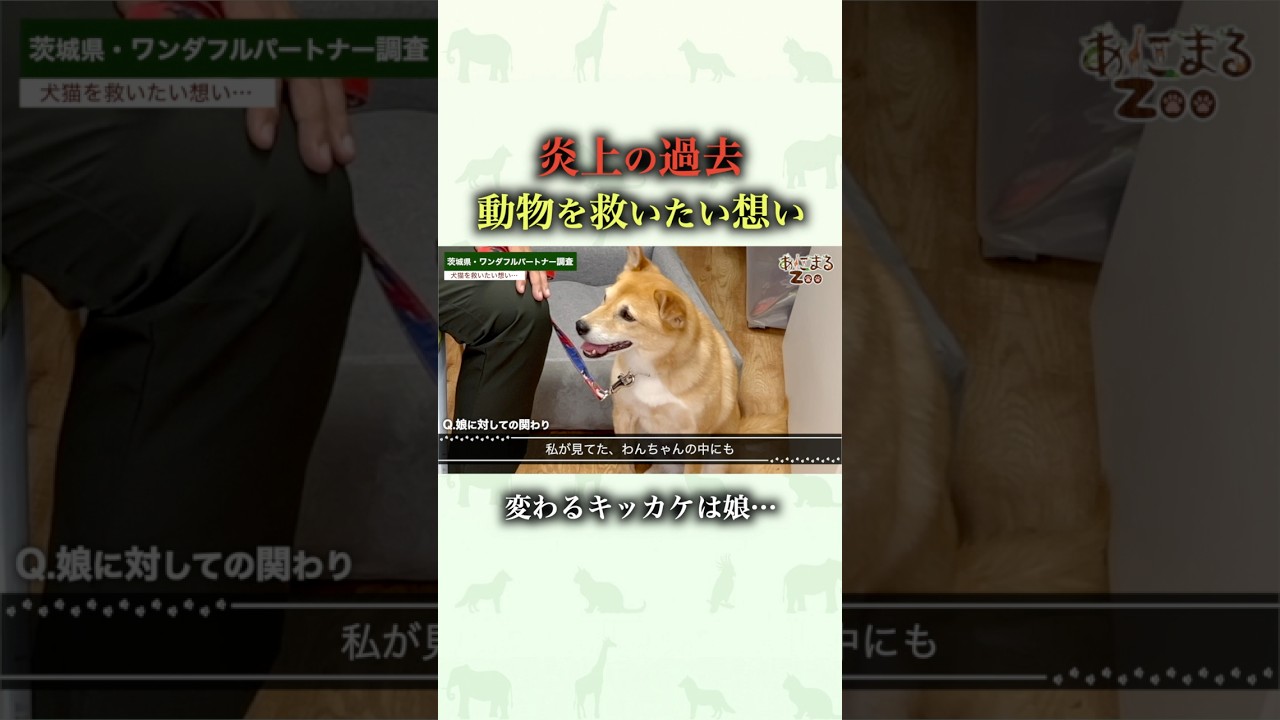 【動物虐待】炎上した過去を赤裸々に語る…