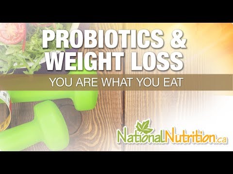 Probiotics & Weight Loss