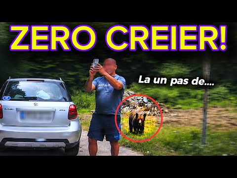 Romanian Dashcam: Road Rage, sofer darama copac si momente bizare | #76 #DVR 