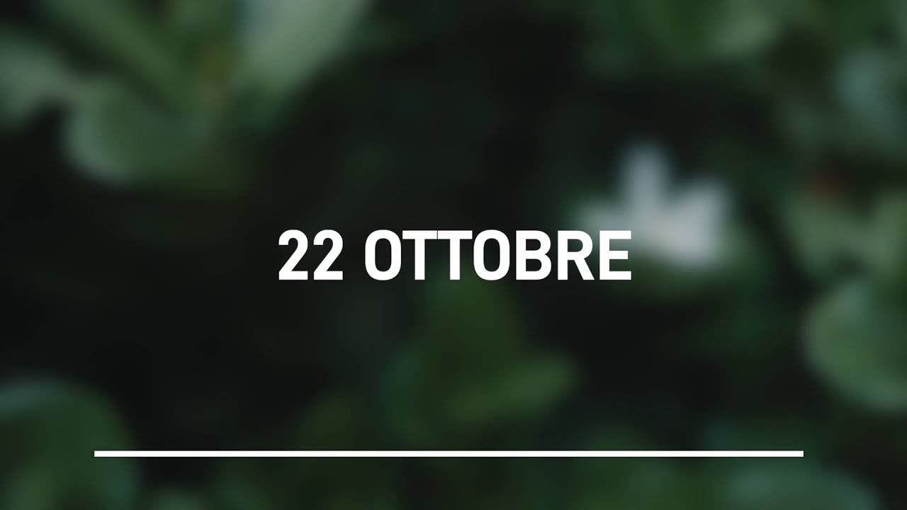 Meditazione Calendario “Parole di Vita” del 22 Ottobre 2023