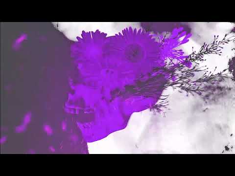 Carbin & MADGRRL - On & On (Out on Never Say Die)