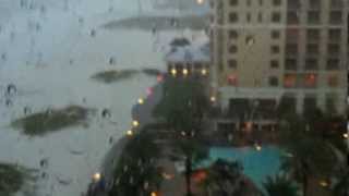 Porcelain Raft - Backwords