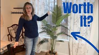 Lifelike Artificial Palm Tree 5-1/2 FT Tall. This just livens up the room!