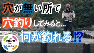 【エッグアーム】穴がない所で穴釣りしたらどうなるの？