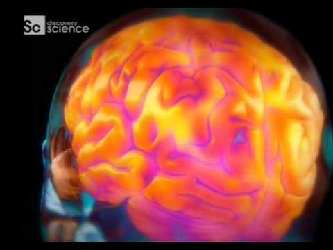 Granice ludzkich możliwości - Siła mózgu 2/3