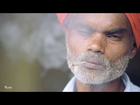 pavitra k b rao allahabad s...