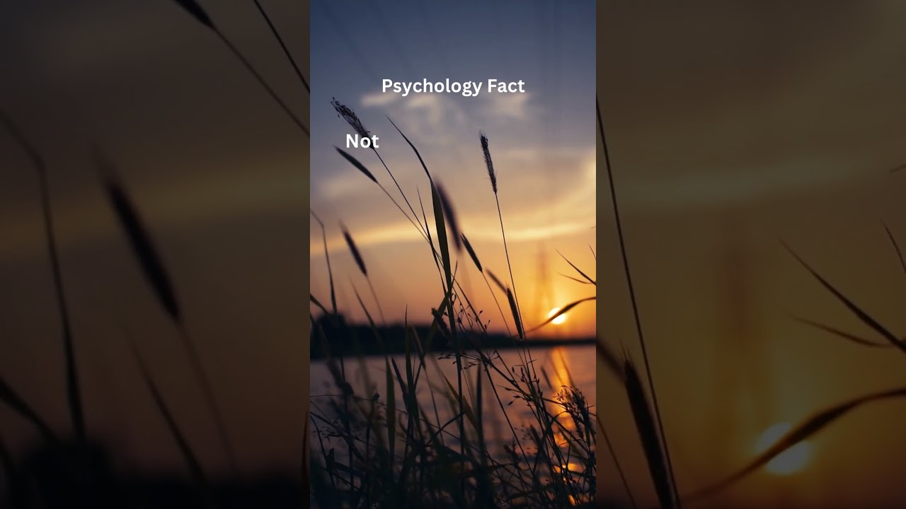 How Prosocial Behavior Transforms Lives