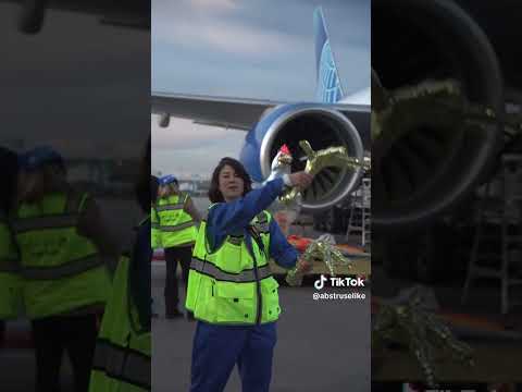 United Airlines x Abstruselike