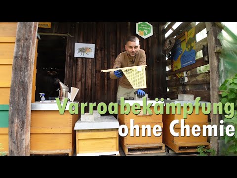 Varroabekämpfung ohne Chemie
