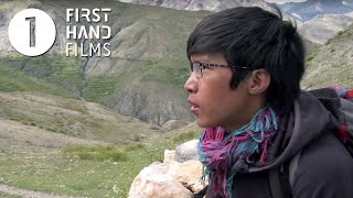 Трейлер превью