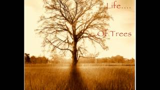 "THE SECRET LIFE OF TREES" RELAX and CHILL OUT to 75 mins of Original Music by Tracy Bartelle