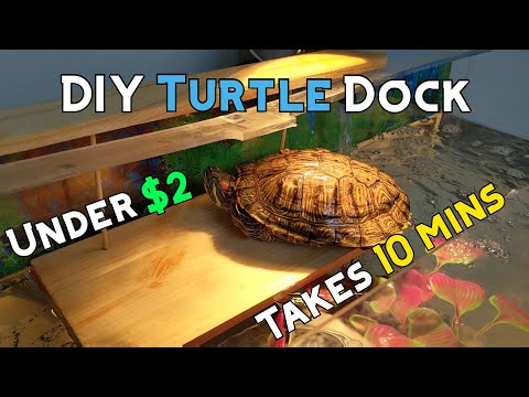 HOW TO BUILD DIY TURTLE BASKING DOCK!