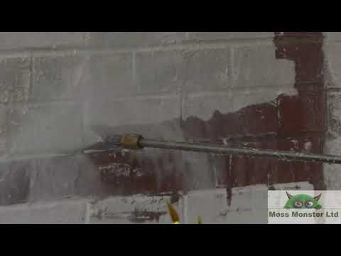 MOSS MONSTER LTD video.