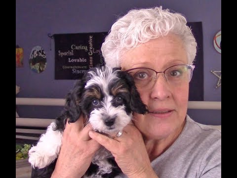 The Creative Obsession - Episode 68