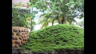 Ivyhouse   Tour
