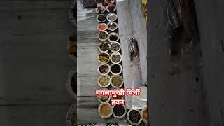 Personal Baglamukhi Lal Mirchi Hawan