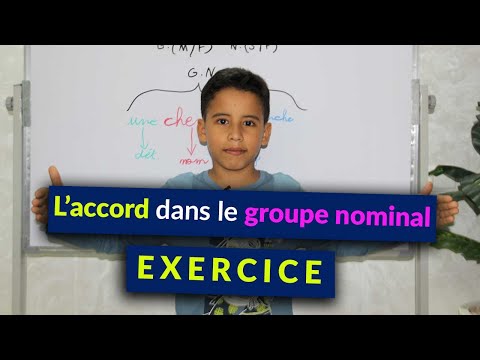 EXERCICE : L'accord dans le groupe nominal