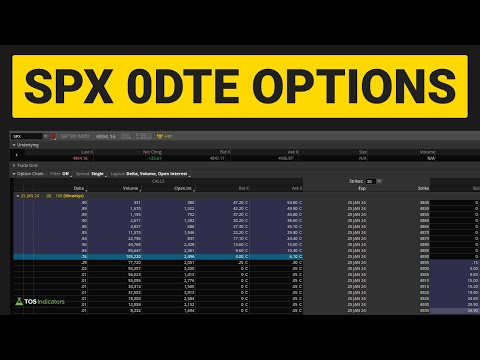 SPX 0DTE Options: Data Breakdown for Day Traders