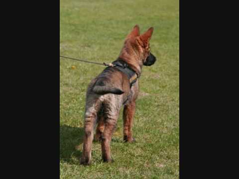 Poker vom Weinbergblick