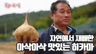 배인가 감자인가? 히카마 농장을 찾다  | 농부의 땀 라이브커머스