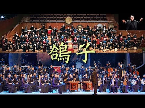 《鴿子》[Gezi] "La Paloma" (The Dove) - 高胡 (gaohu): 王國偉; 上海民族樂團; 指揮: 關乃忠