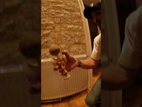 WORLD RECORD?! #shorts