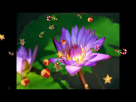 Excellos Five (1925) - (Valse)