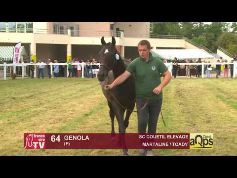 Show AQPS 2018 Lot 64 - GENOLA