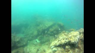 preview picture of video 'Montezuma Scuba Diving'