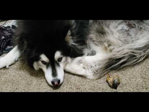 Upgrading riveted inline skate frames to Trinity mount or UFS!Powerslide Zoom Project 2022!