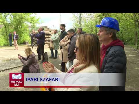 Videó előnézet