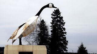 Wawa, Ont., celebrates Canada Day by unveiling new giant goose