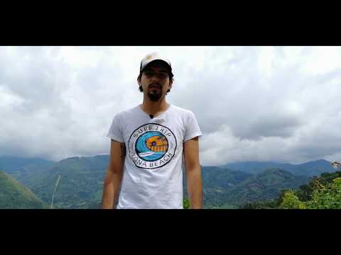 Emprendimiento apícola / Apis - NaturVida