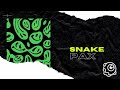 PAX-Snake || AMSTITUTE.