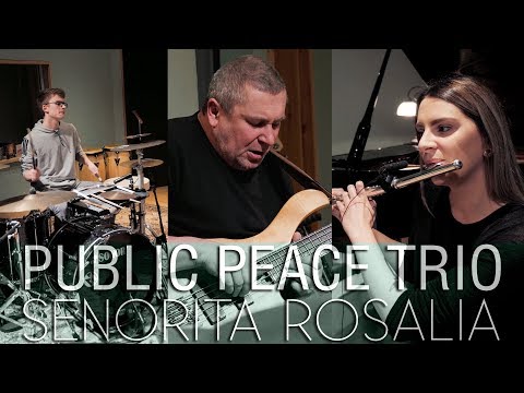 Public Peace Trio - Senorita Rosalia