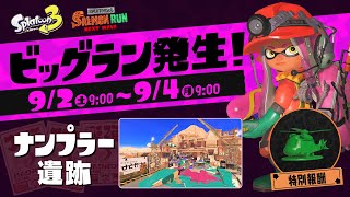 世界で一番楽しいビッグランやるぞ！【スプラトゥーン3 / サーモンラン】