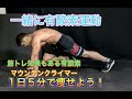 1日5分着実に痩せる有酸素！クライマー[Core Workout]